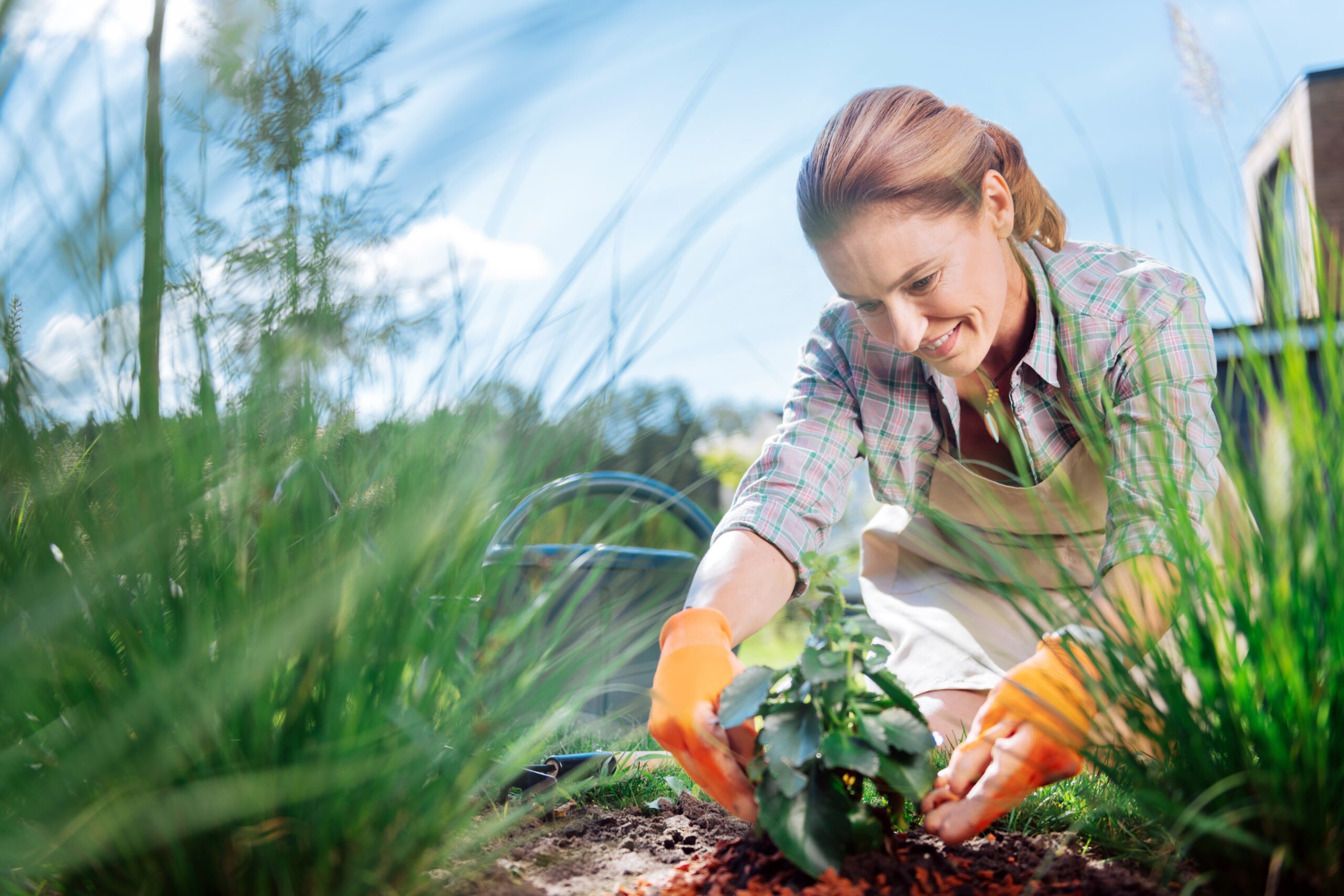 You are currently viewing Health Benefits of Gardening