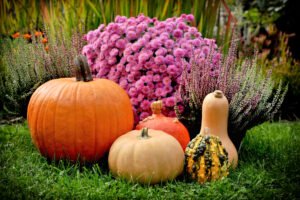 Read more about the article Best Fall Seasonal Recipes for Your Well Being